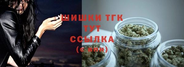 МДПВ Корсаков