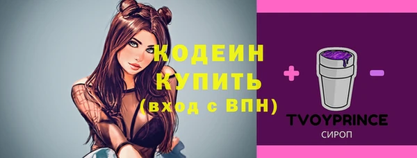ПСИЛОЦИБИНОВЫЕ ГРИБЫ Коряжма