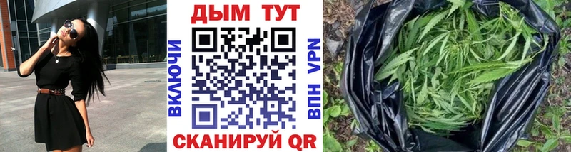 Купить закладки  Самара  Бошки Шишки семена 